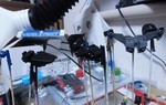 s-CIMG10100.jpg